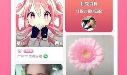 香炉最新爆料视频大全下载,揭秘神秘事件背后的真相